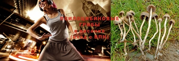 винт Алзамай