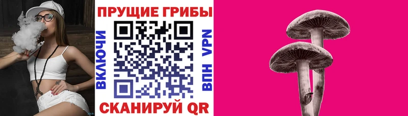 Галлюциногенные грибы Magic Shrooms  Полярные Зори 