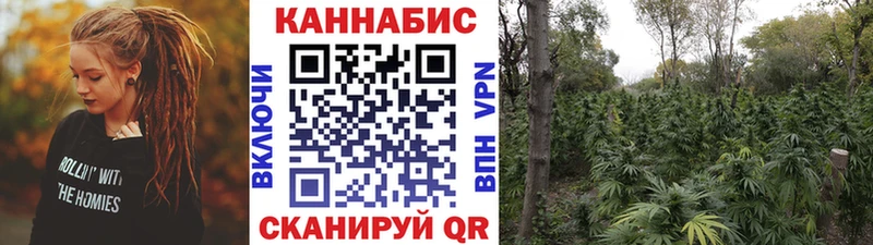 Шишки марихуана VHQ Полярные Зори